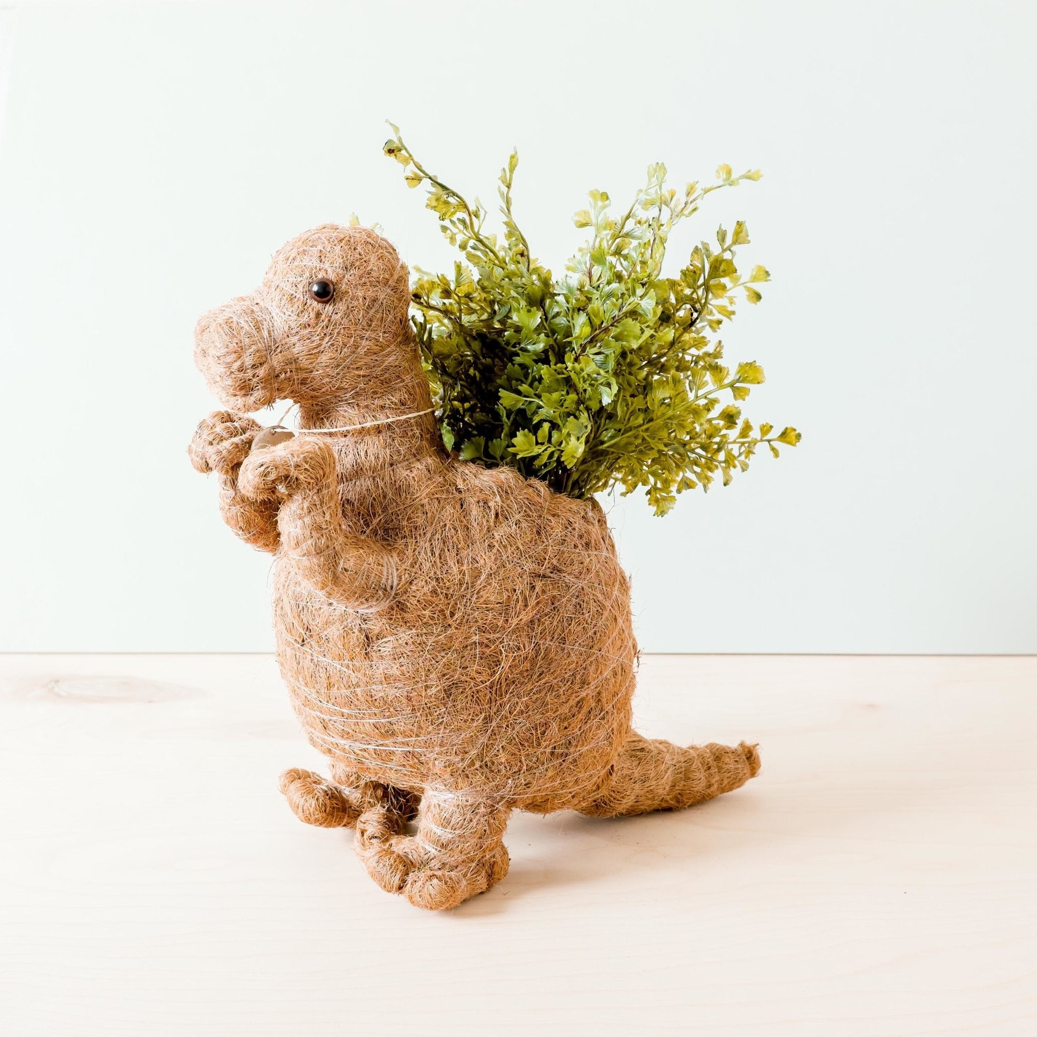 T-Rex Planter - Coco Coir Pots | LIKHÂ LIKHÂ | Heirloom Boulevard