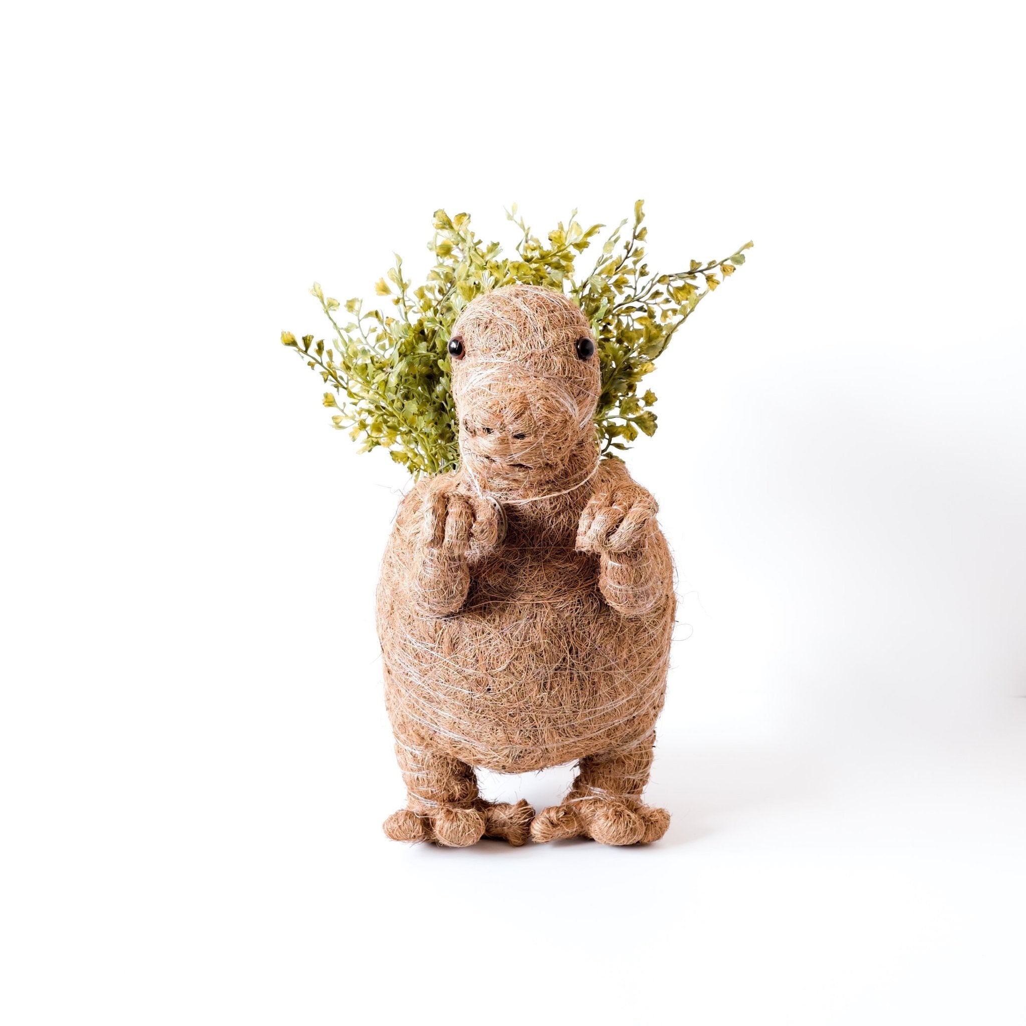 T-Rex Planter - Coco Coir Pots | LIKHÂ LIKHÂ | Heirloom Boulevard