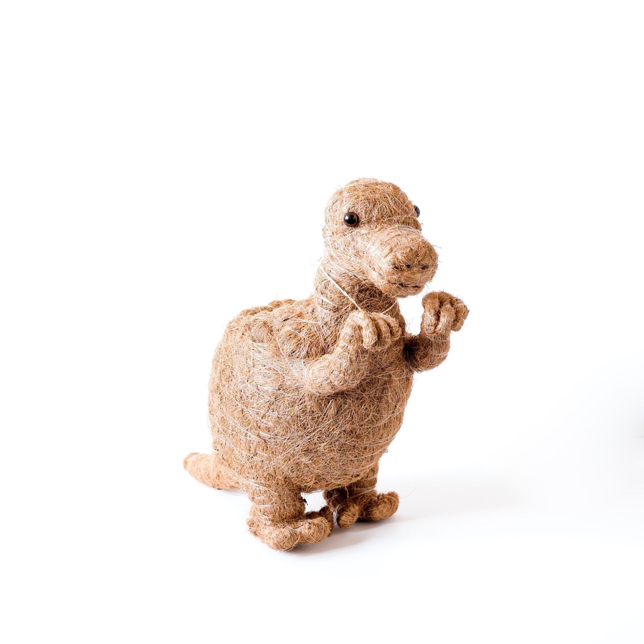 T-Rex Planter - Coco Coir Pots | LIKHÂ LIKHÂ | Heirloom Boulevard