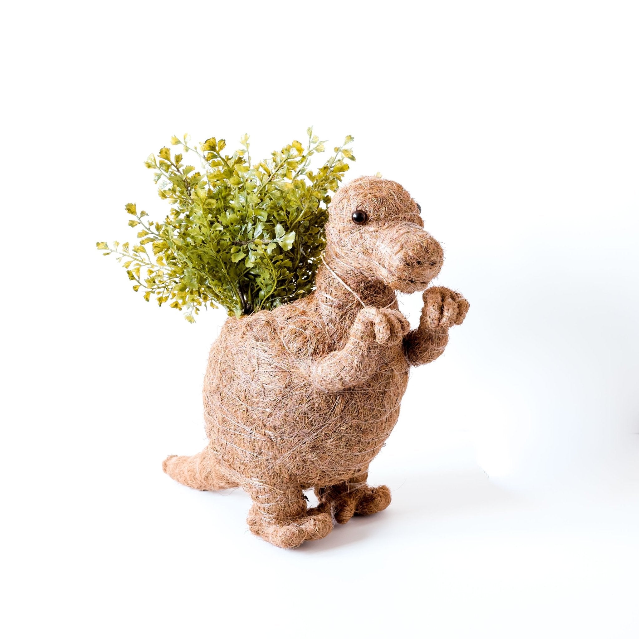 T-Rex Planter - Coco Coir Pots | LIKHÂ LIKHÂ | Heirloom Boulevard