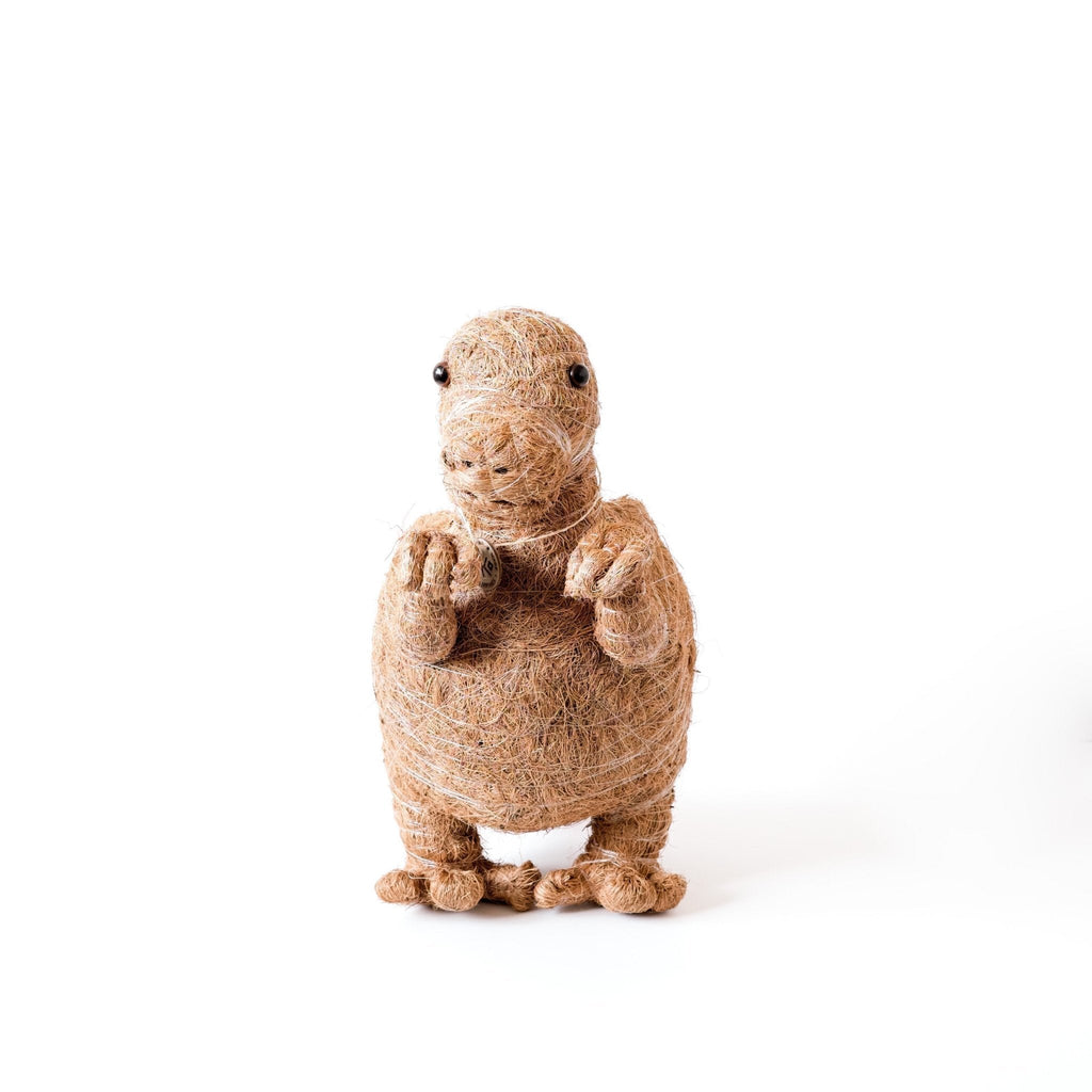 T-Rex Planter - Coco Coir Pots | LIKHÂ LIKHÂ | Heirloom Boulevard