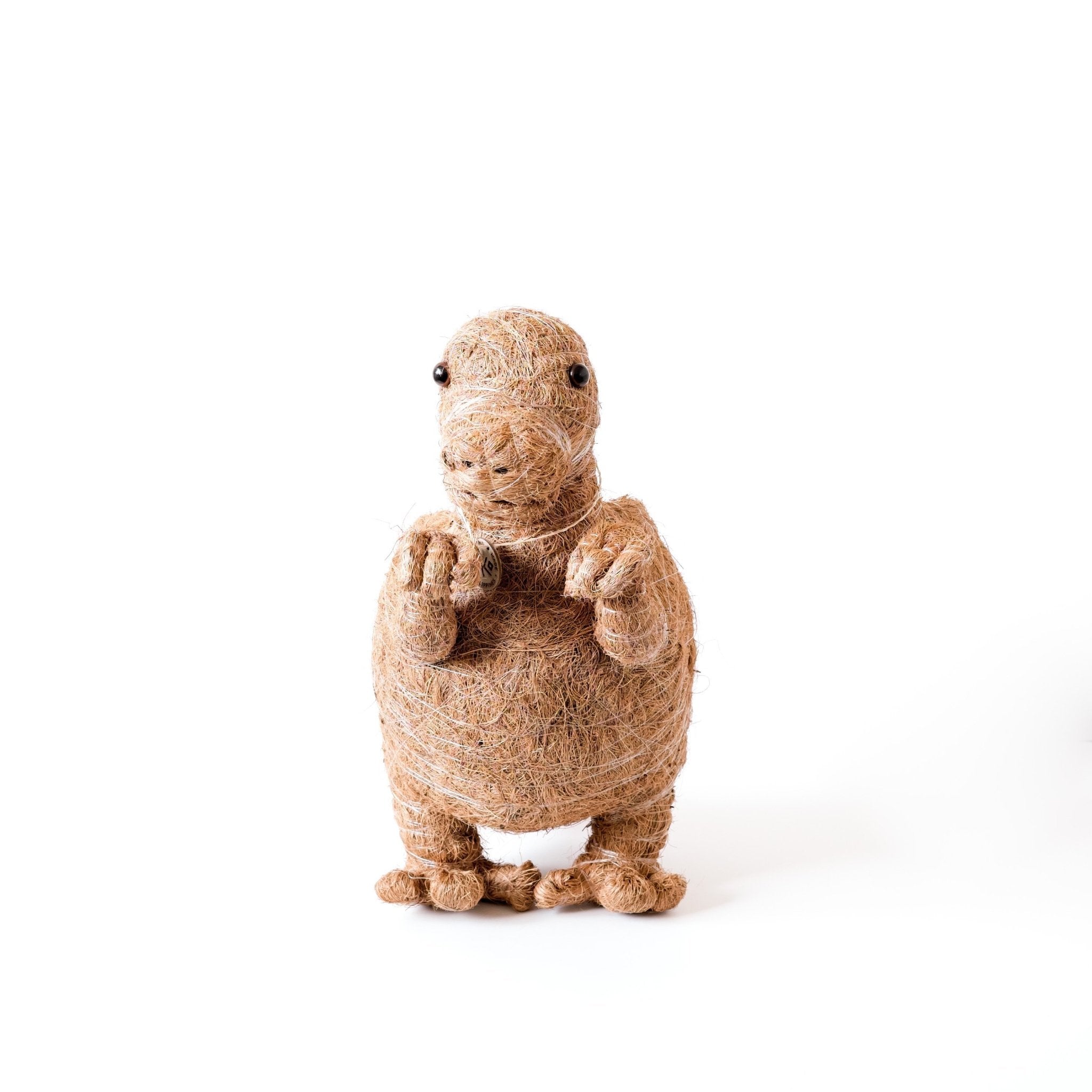 T-Rex Planter - Coco Coir Pots | LIKHÂ LIKHÂ | Heirloom Boulevard