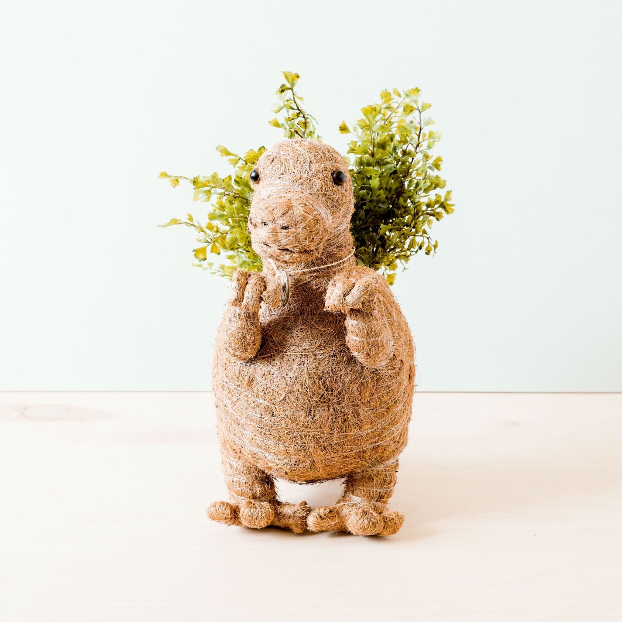 T-Rex Planter - Coco Coir Pots | LIKHÂ LIKHÂ | Heirloom Boulevard