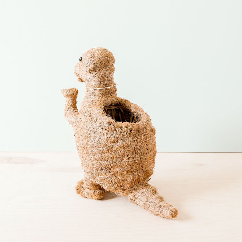 T-Rex Planter - Coco Coir Pots | LIKHÂ LIKHÂ | Heirloom Boulevard
