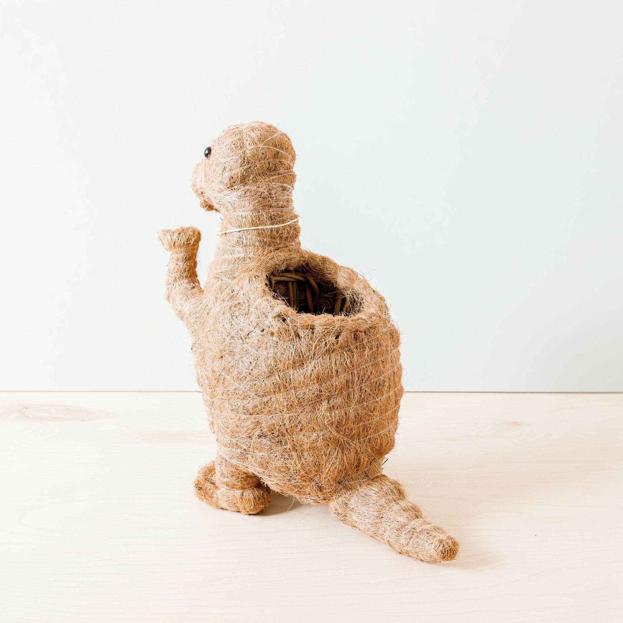 T-Rex Planter - Coco Coir Pots | LIKHÂ LIKHÂ | Heirloom Boulevard