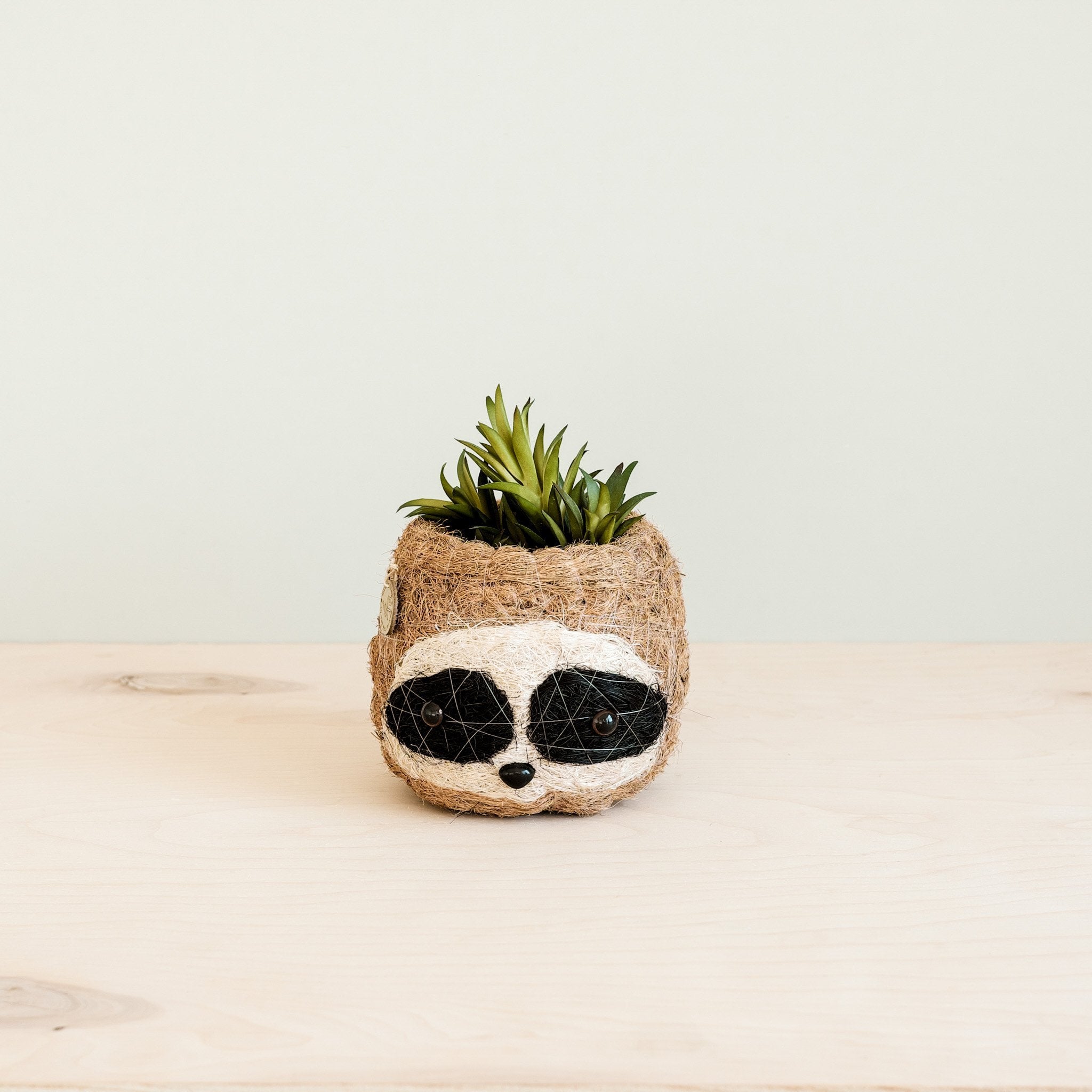 LIKHÂ Three-tone Sloth Coco Coir Planter - Handmade Planters | LIKHÂ LIKHÂ | Heirloom Boulevard