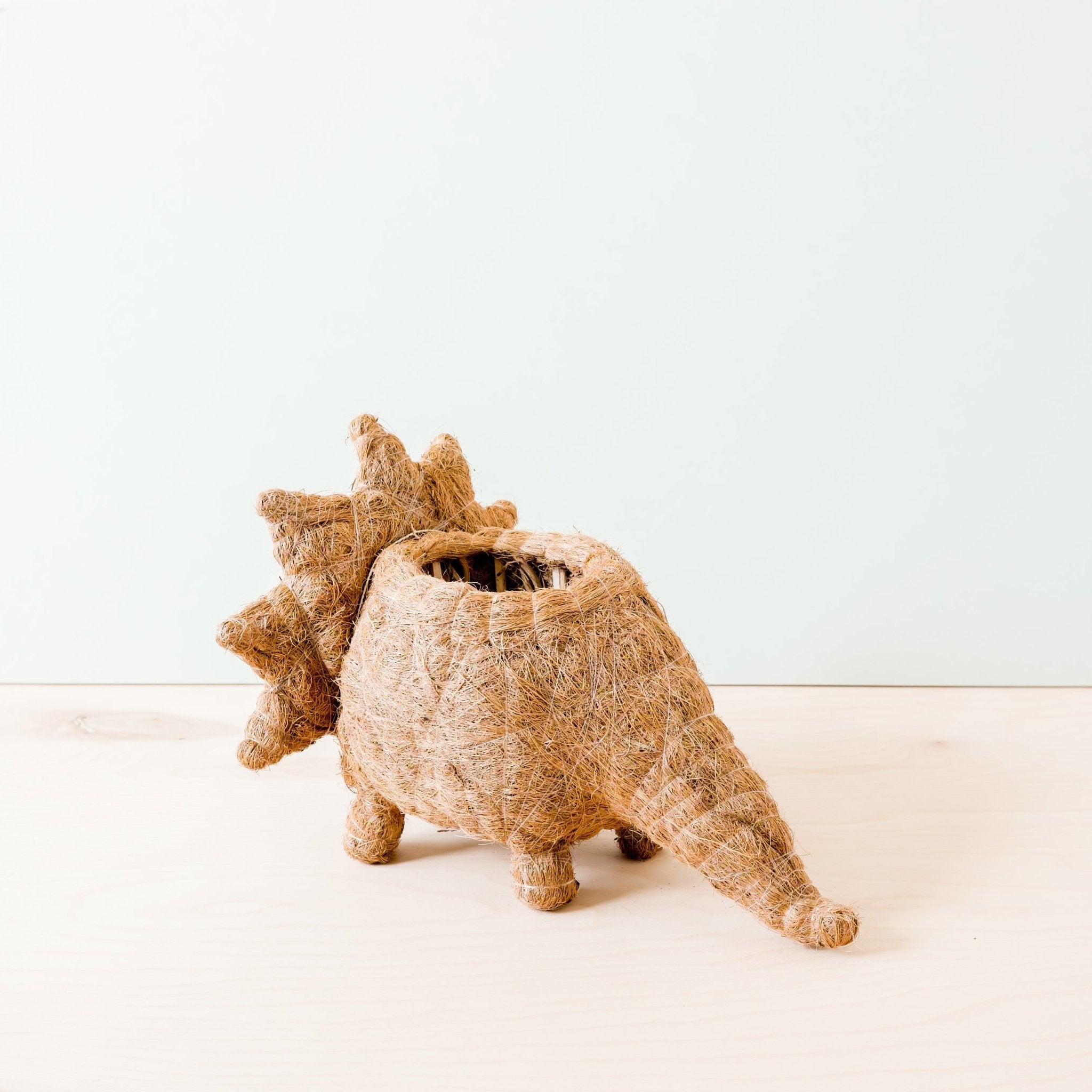 Triceratops Planter - Coco Coir Pots | LIKHÂ LIKHÂ | Heirloom Boulevard