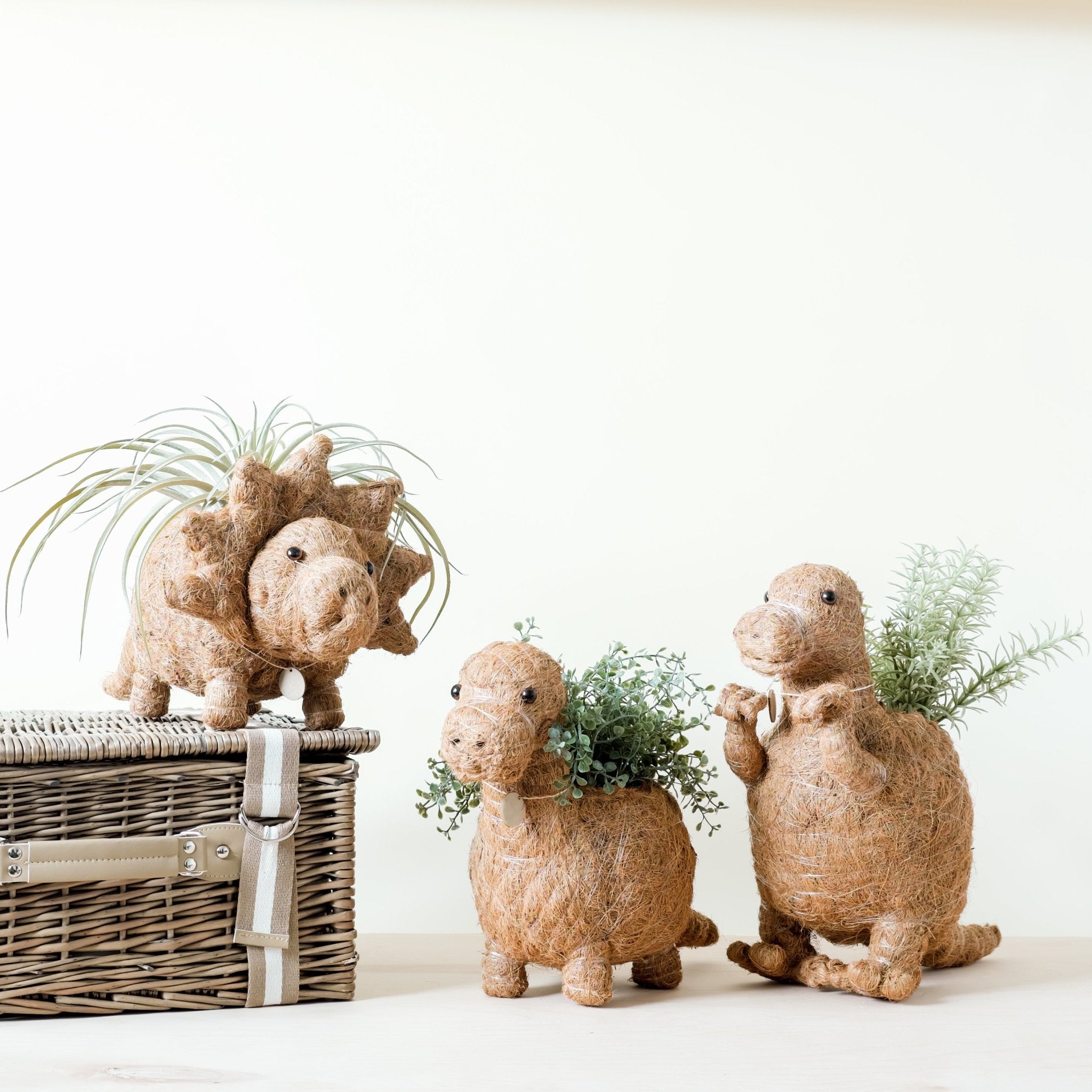 Triceratops Planter - Coco Coir Pots | LIKHÂ LIKHÂ | Heirloom Boulevard