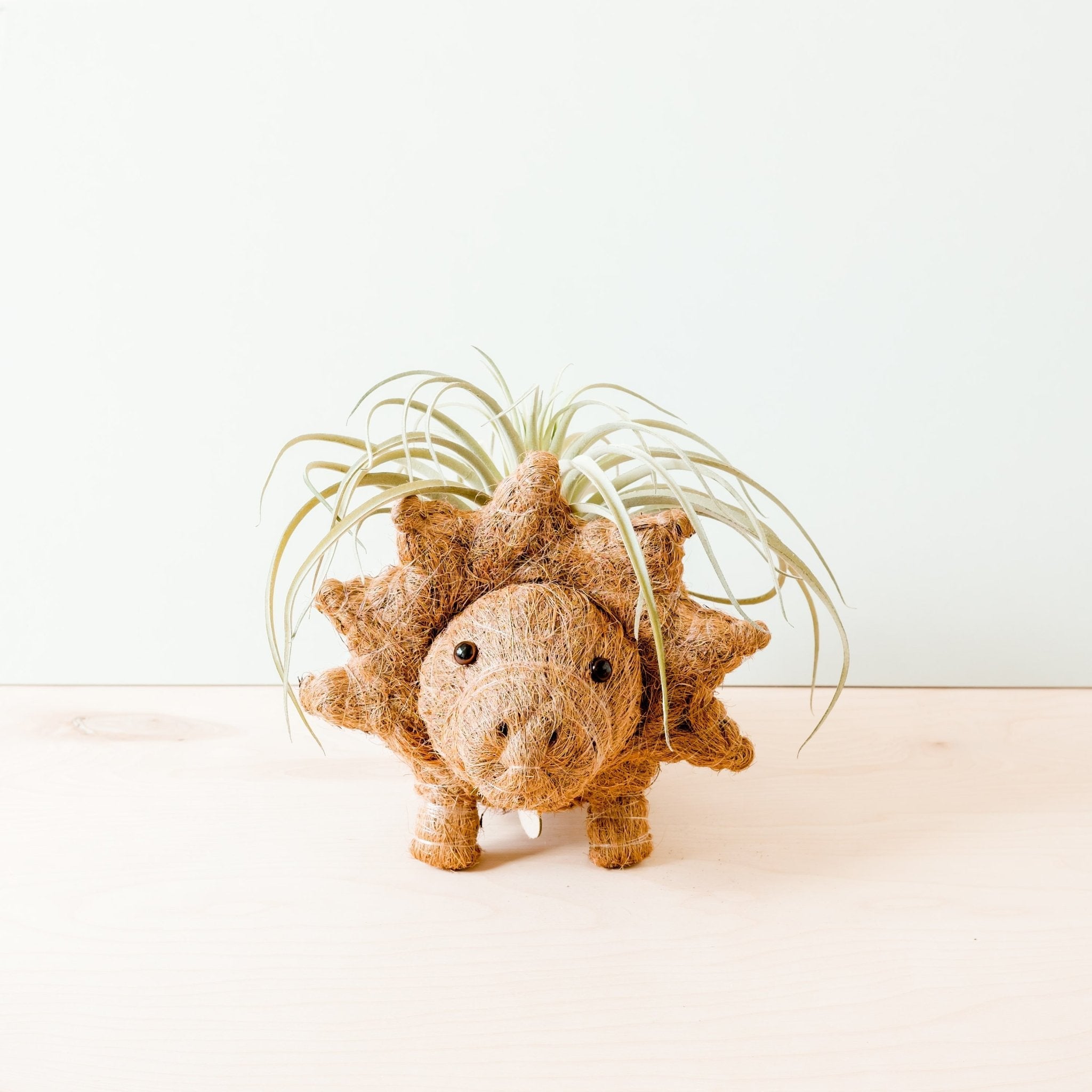 Triceratops Planter - Coco Coir Pots | LIKHÂ LIKHÂ | Heirloom Boulevard