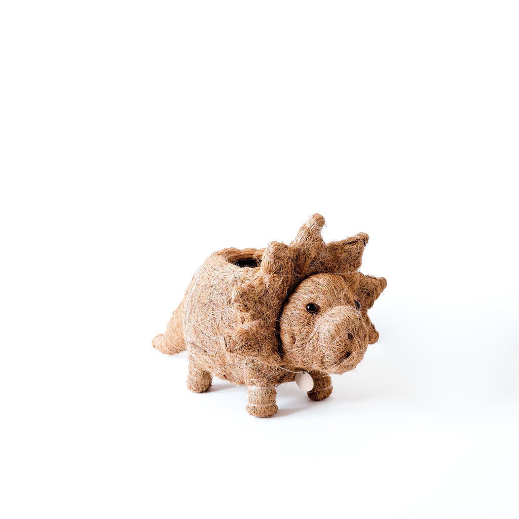 Triceratops Planter - Coco Coir Pots | LIKHÂ LIKHÂ | Heirloom Boulevard