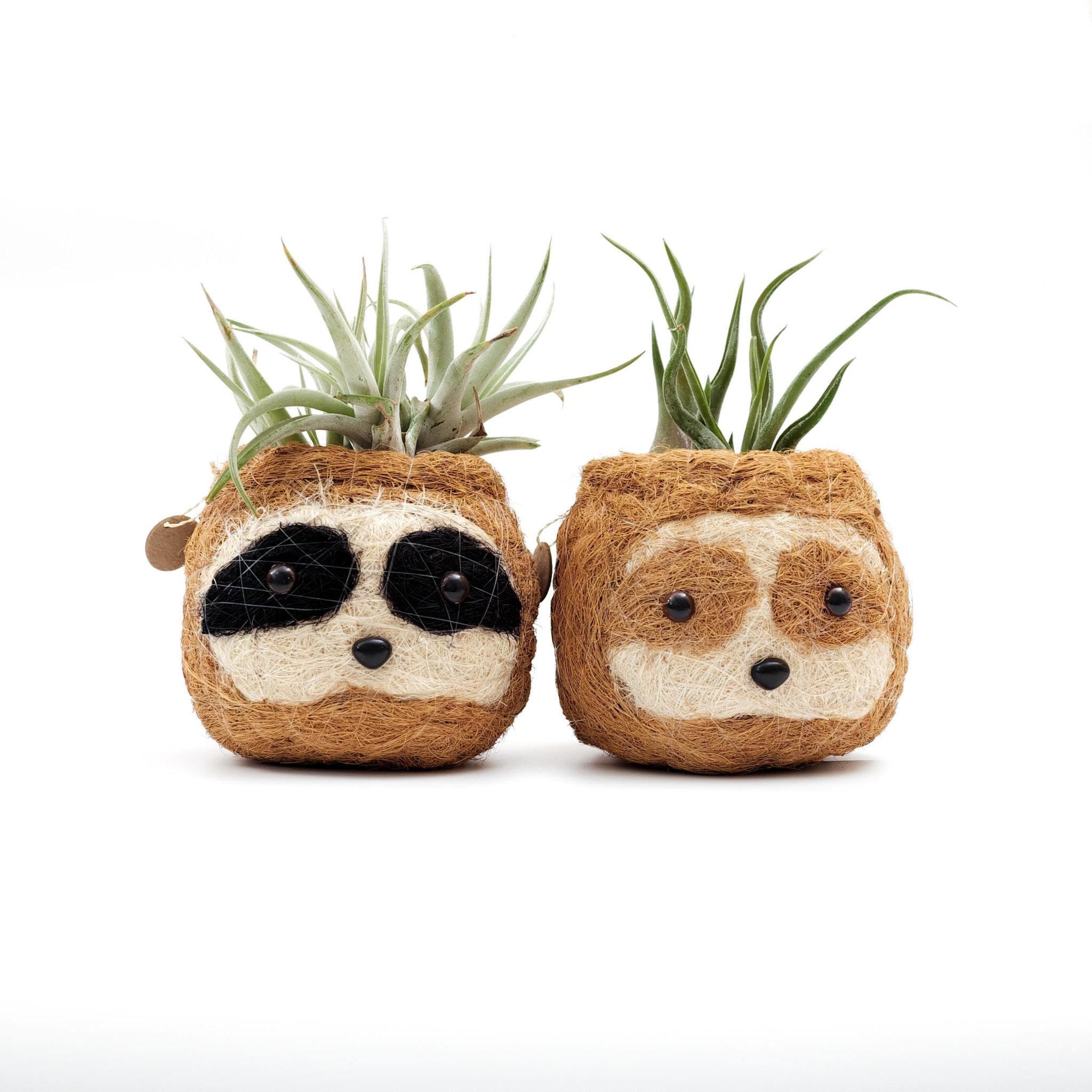 Two-tone Sloth Coco Coir Planter - Handmade Planters | LIKHÂ LIKHÂ | Heirloom Boulevard