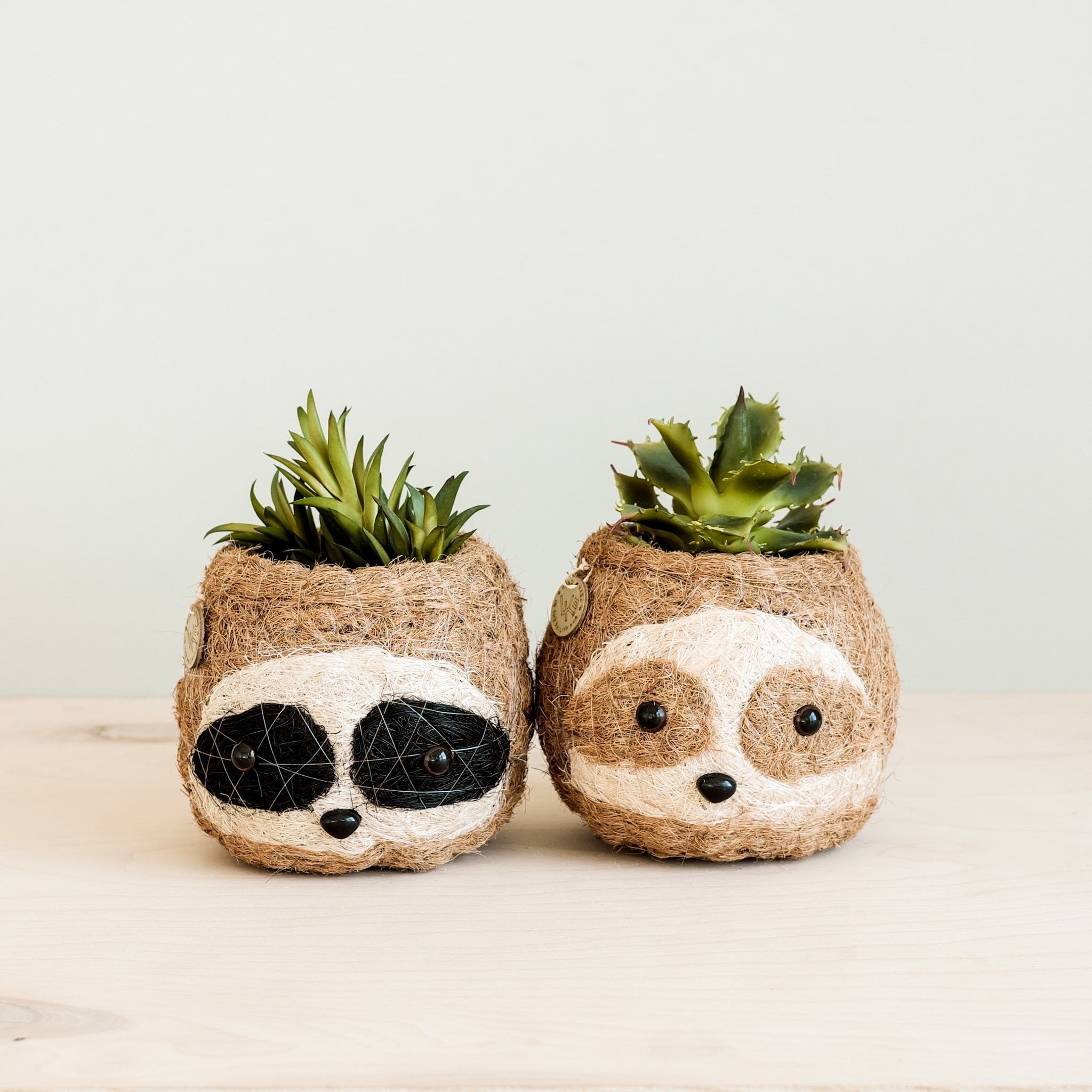 Two-tone Sloth Coco Coir Planter - Handmade Planters | LIKHÂ LIKHÂ | Heirloom Boulevard