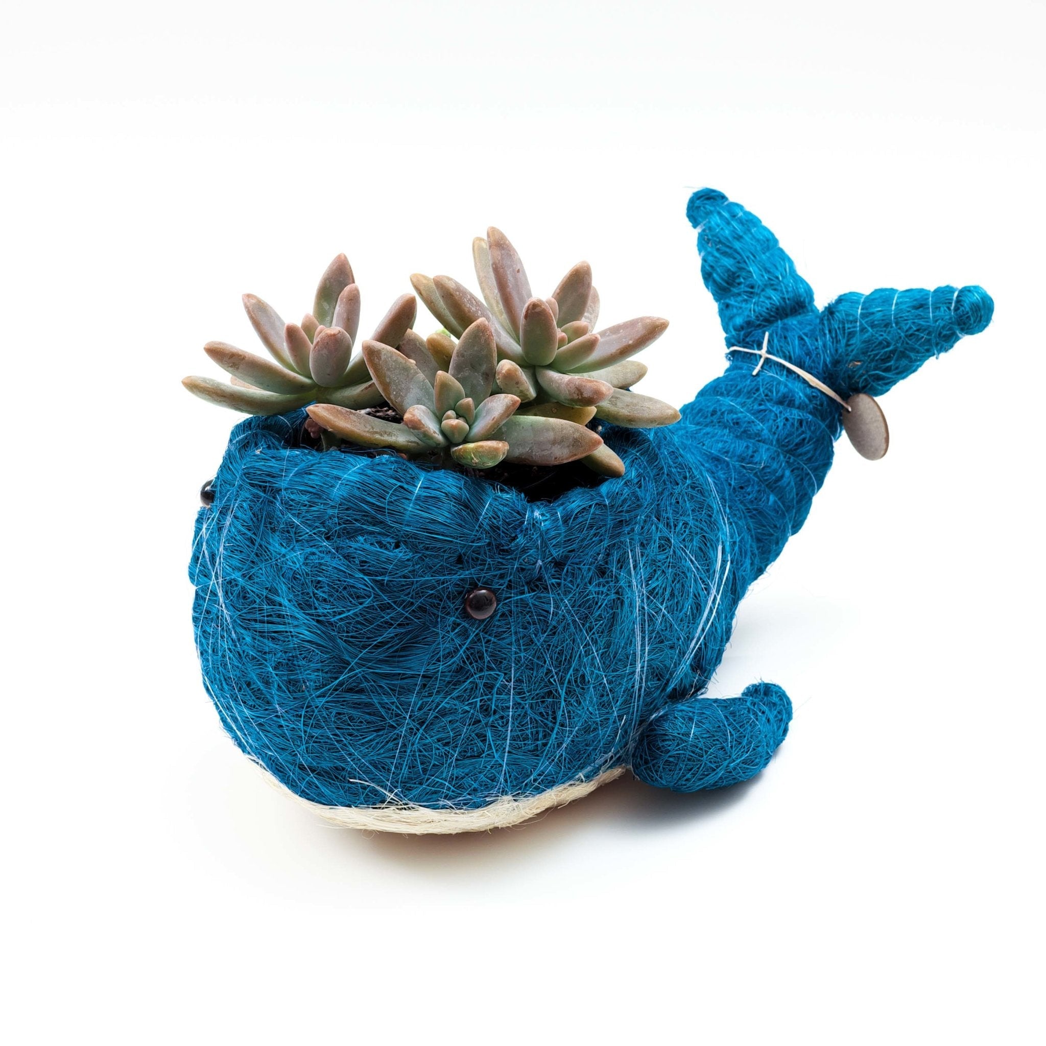 Wicker Whale Planter - Coco Planter | LIKHÂ LIKHÂ | Heirloom Boulevard