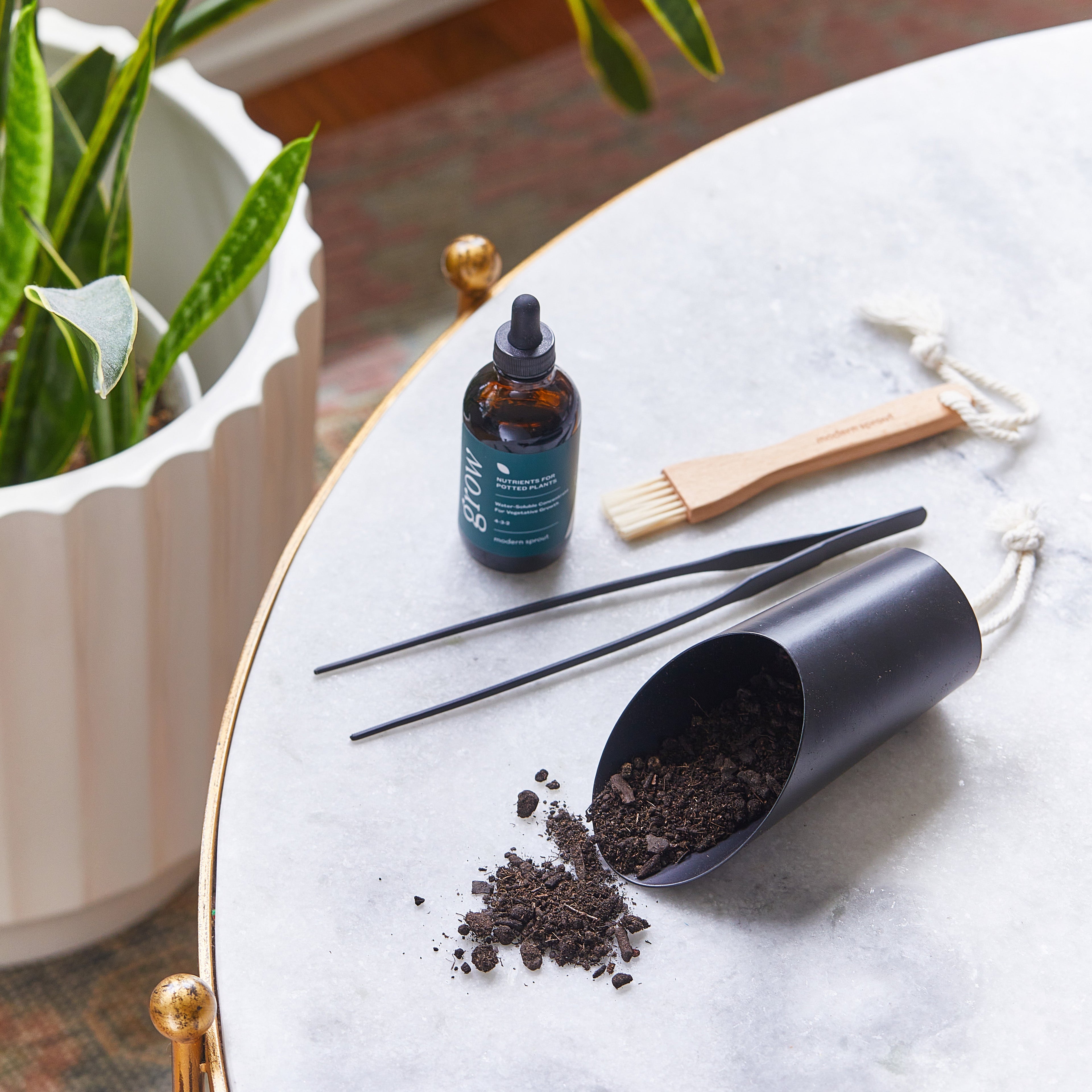 Modern Sprout Plant Parent - Botanical Gift Box Set