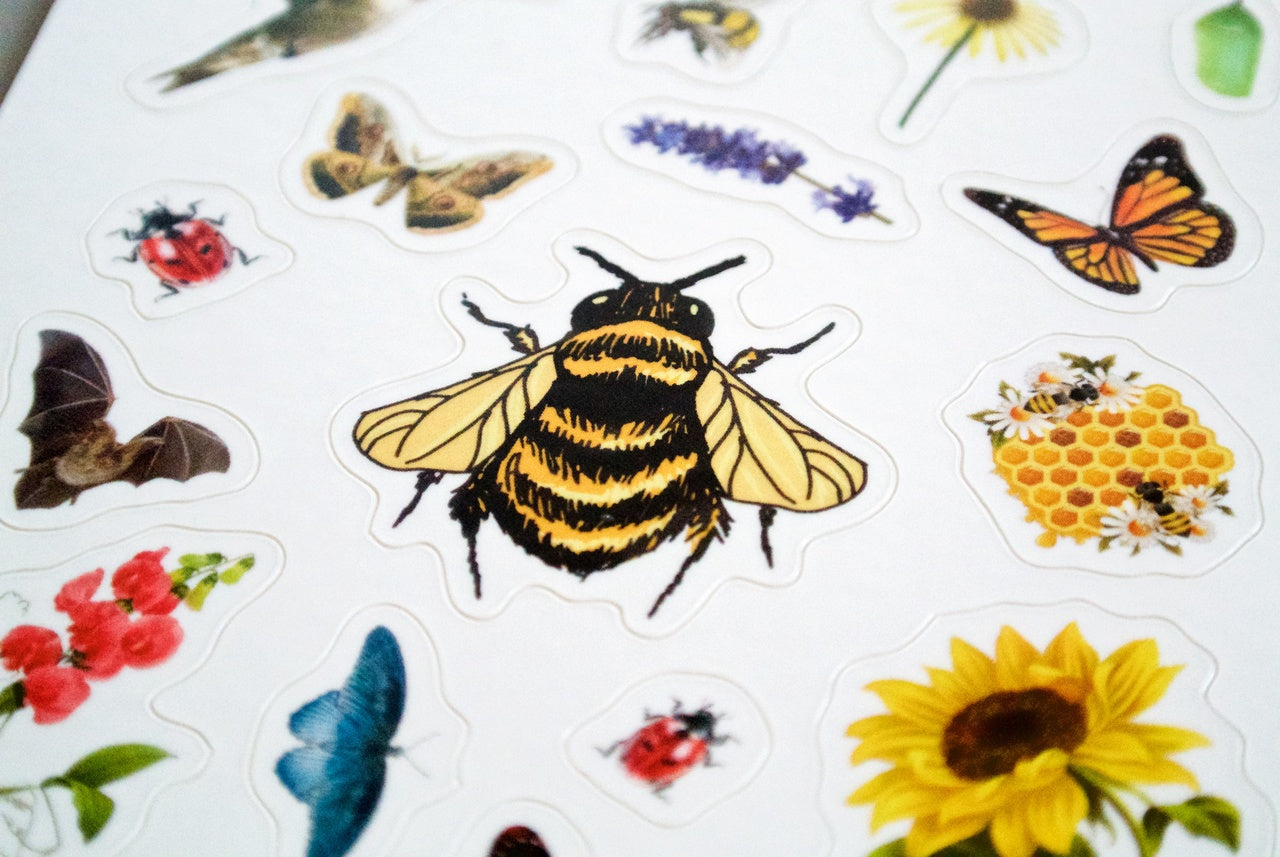 Seattle Seed Company Pollinator Pride Patch and Sticker Kit | Heirloom Boulevard