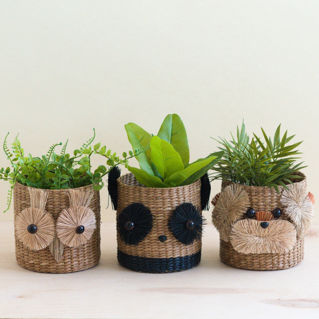 LIKHÂ Owl 6" Seagrass Basket Planter - Succulent Plant Pot | LIKHÂ LIKHÂ | Heirloom Boulevard