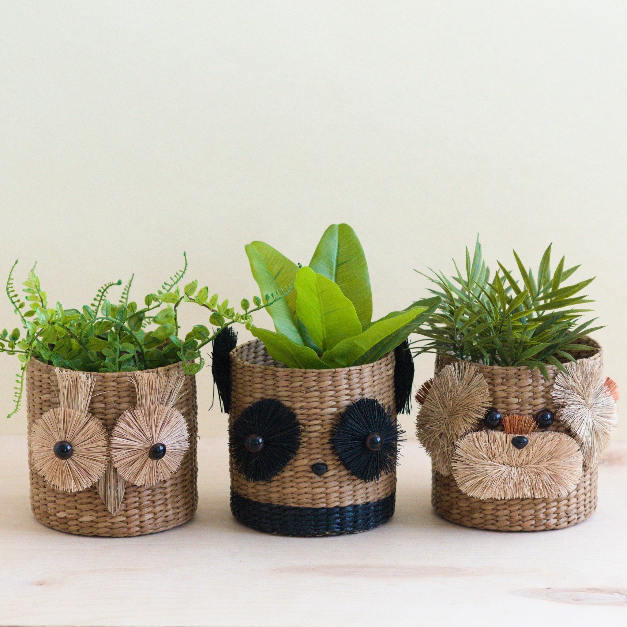 LIKHÂ Owl 6" Seagrass Basket Planter - Succulent Plant Pot | LIKHÂ LIKHÂ | Heirloom Boulevard
