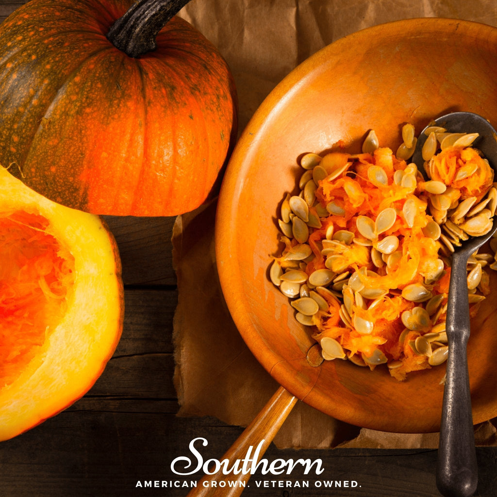Small Sugar Pumpkin – 15 Seeds | Heirloom Boulevard