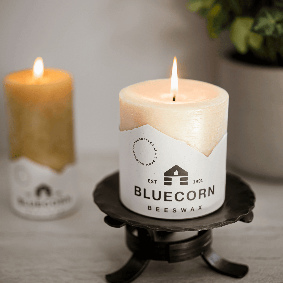 Ivory Pure Beeswax Pillar Candles | Heirloom Boulevard