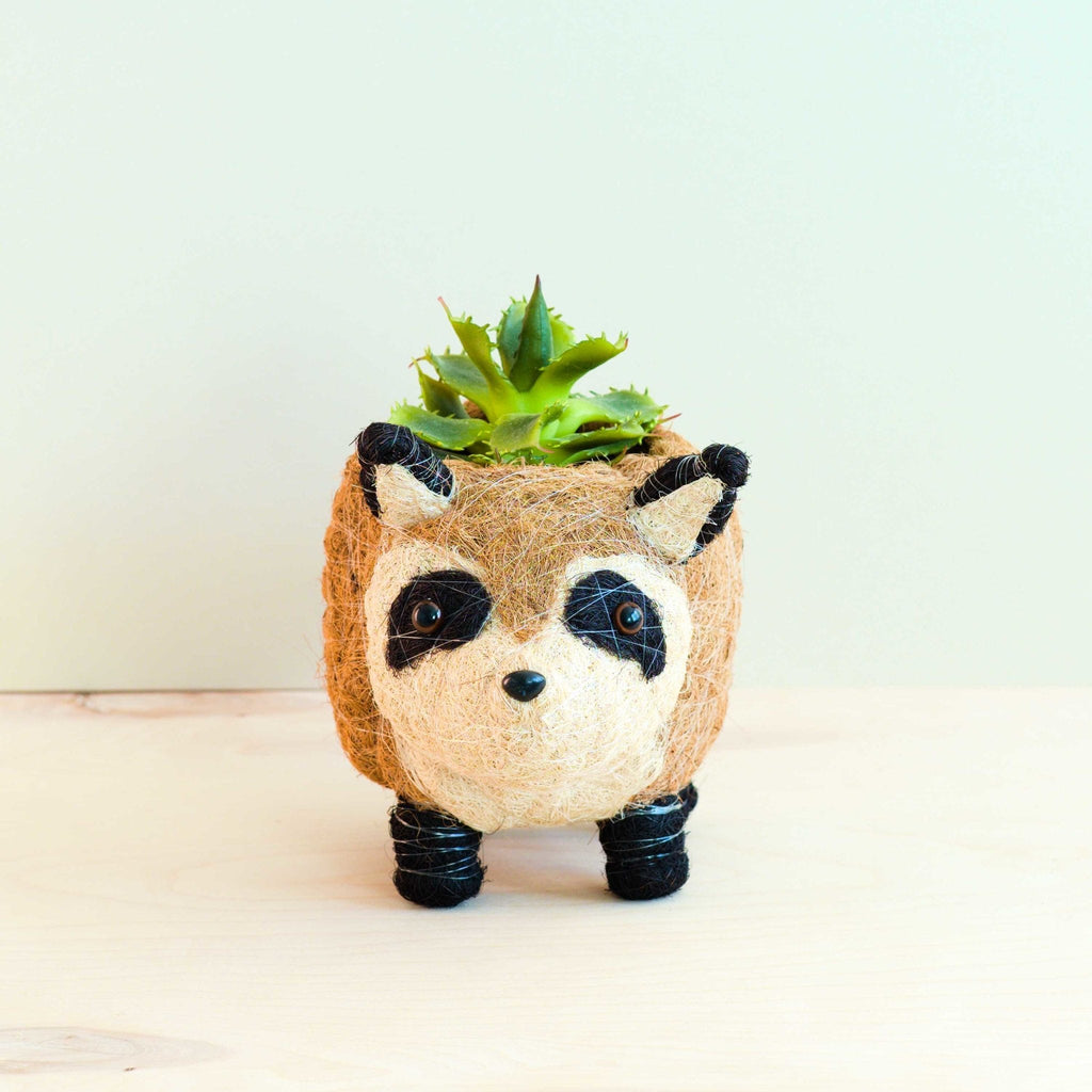 LIKHÂ Raccoon Planter - Handmade Plant Pot | LIKHÂ LIKHÂ | Heirloom Boulevard