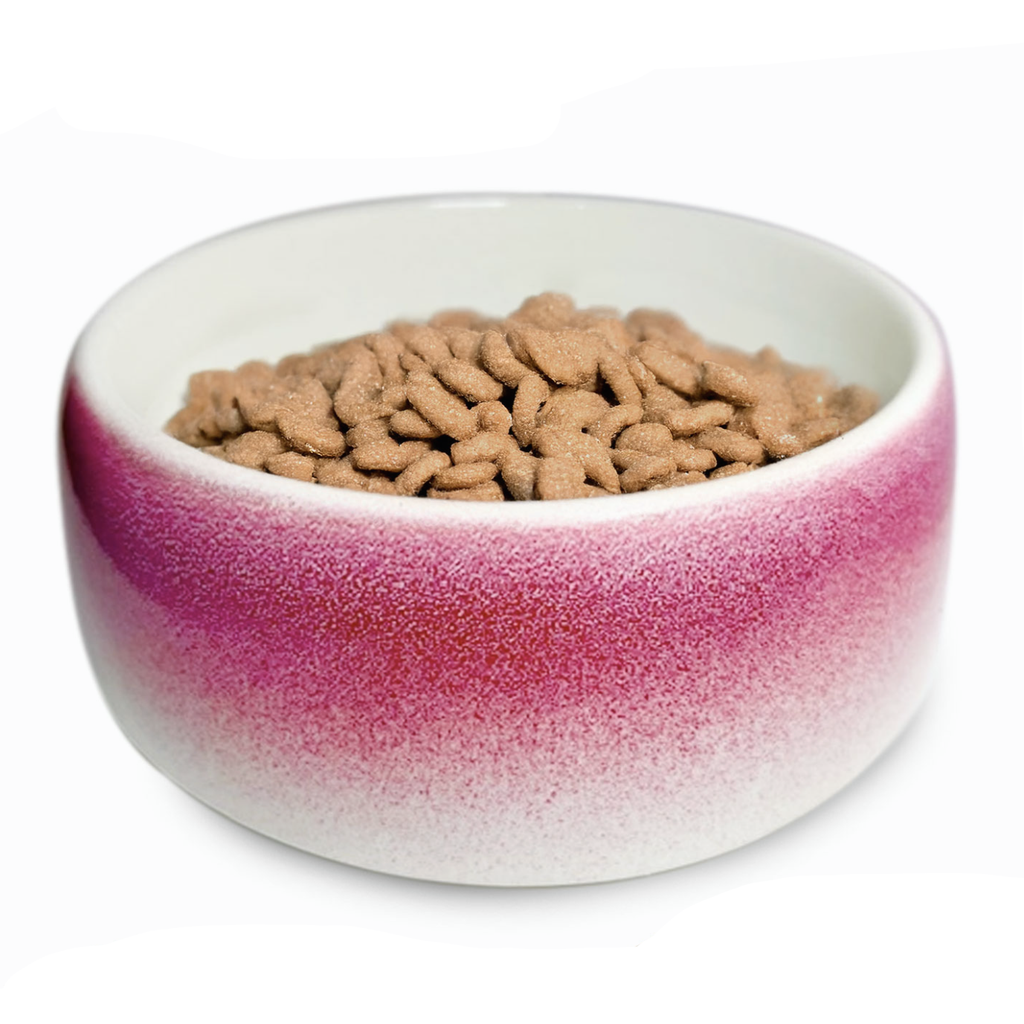 Byer of Maine  Pet Bowl - Roll Over Red