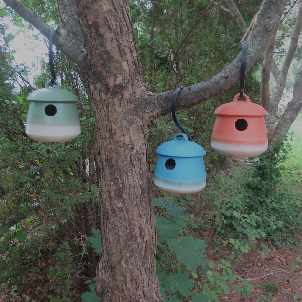 Byer of Maine Return Bird Home
