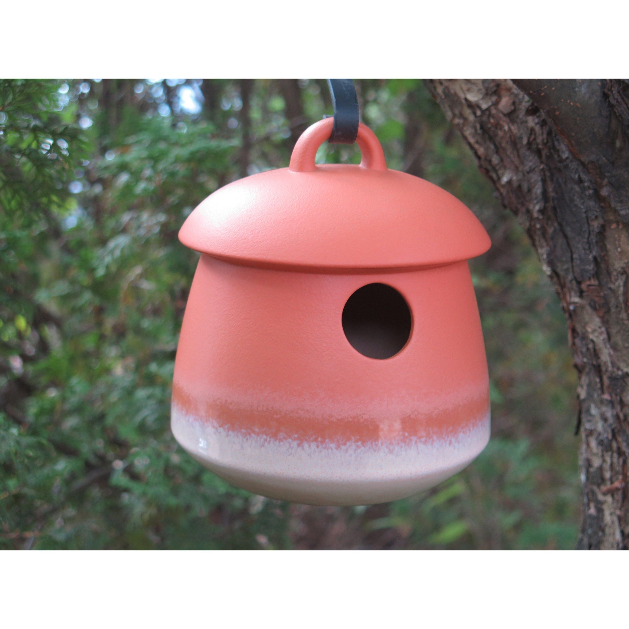 Byer of Maine Return Bird Home