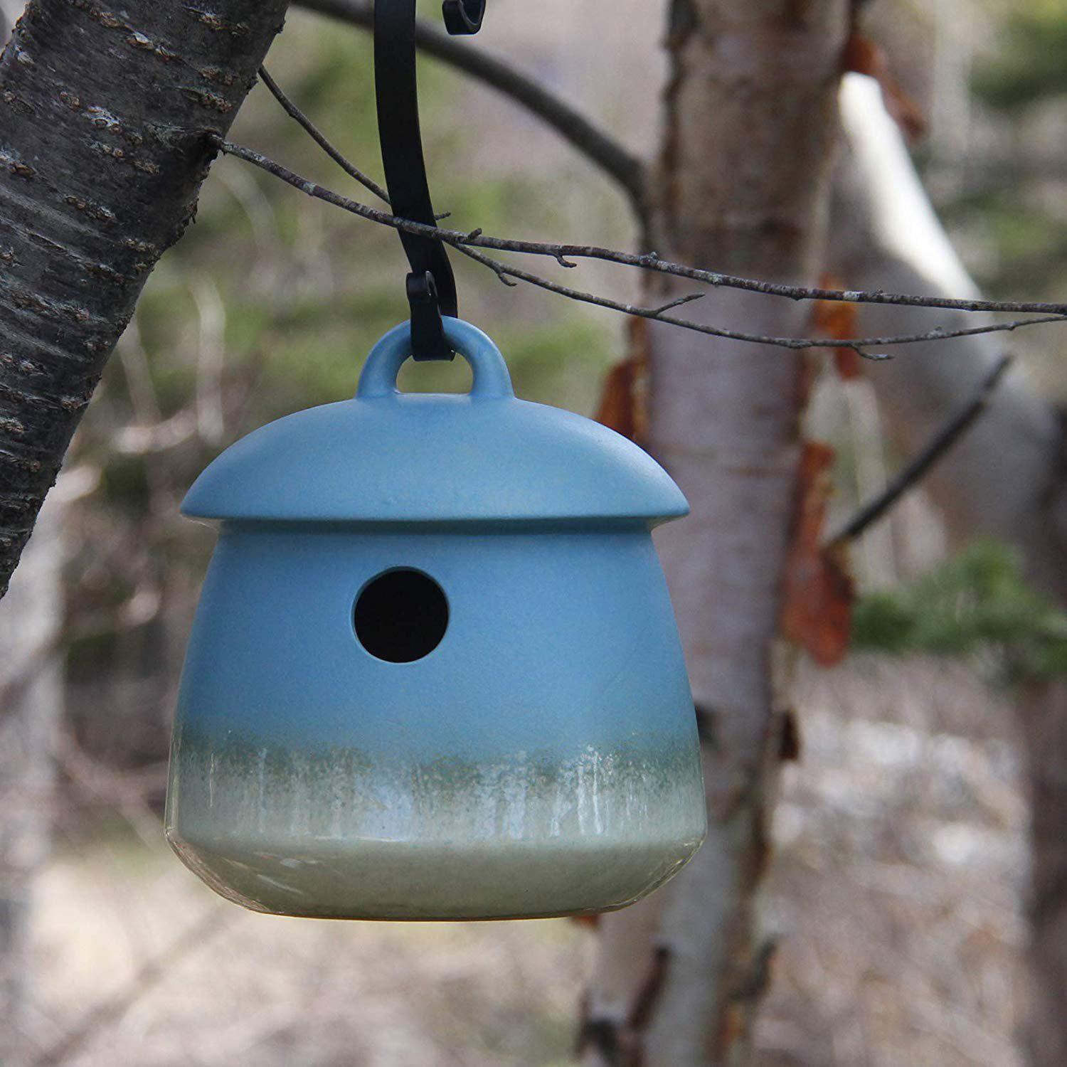 Byer of Maine Return Bird Home