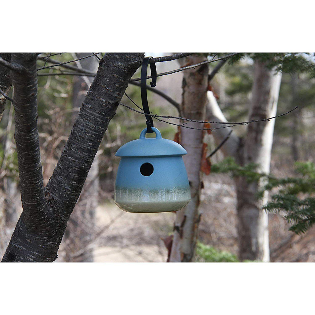 Byer of Maine Return Bird Home