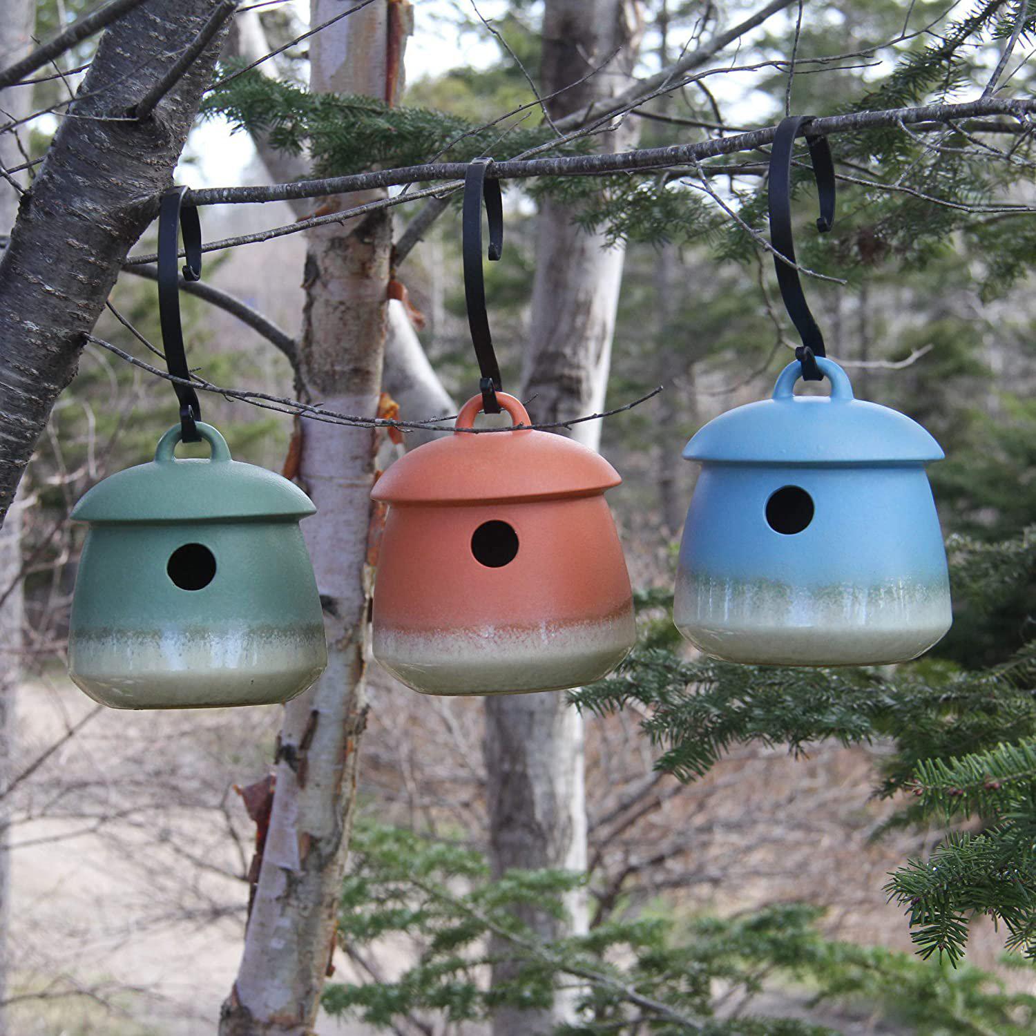 Byer of Maine Return Bird Home