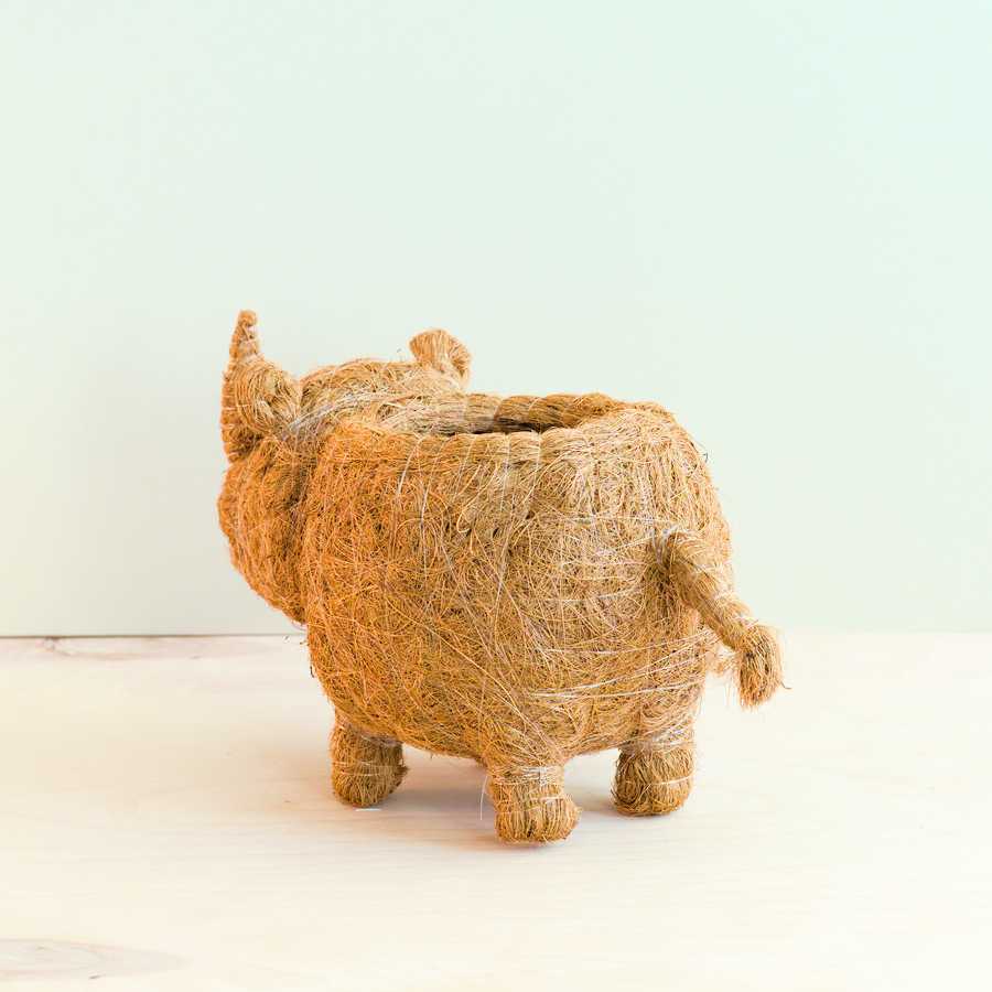 Rhino Planter - Coco Coir Pot | LIKHÂ LIKHÂ | Heirloom Boulevard
