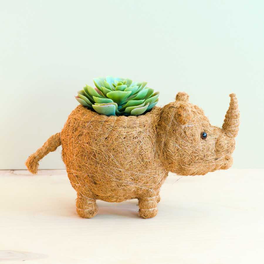 Rhino Planter - Coco Coir Pot | LIKHÂ LIKHÂ | Heirloom Boulevard