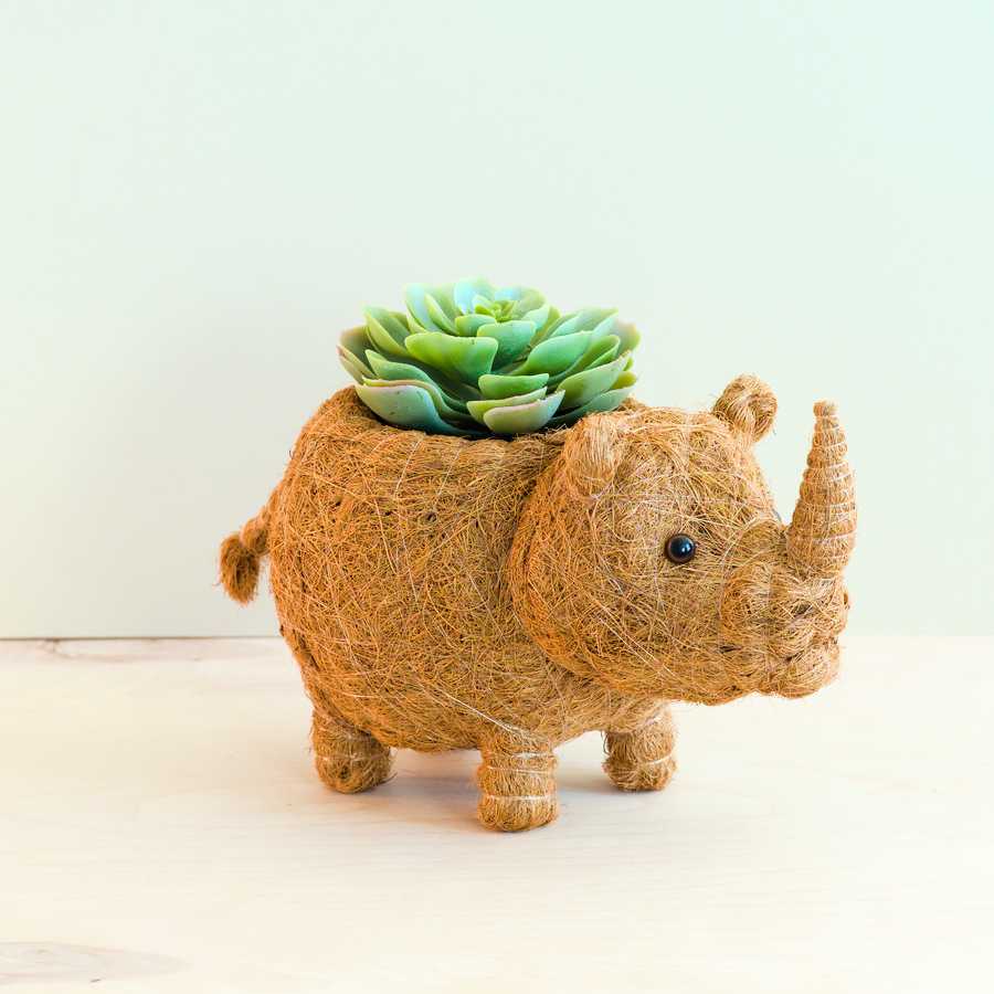 Rhino Planter - Coco Coir Pot | LIKHÂ LIKHÂ | Heirloom Boulevard