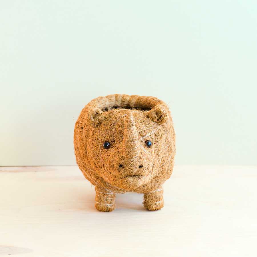 Rhino Planter - Coco Coir Pot | LIKHÂ LIKHÂ | Heirloom Boulevard
