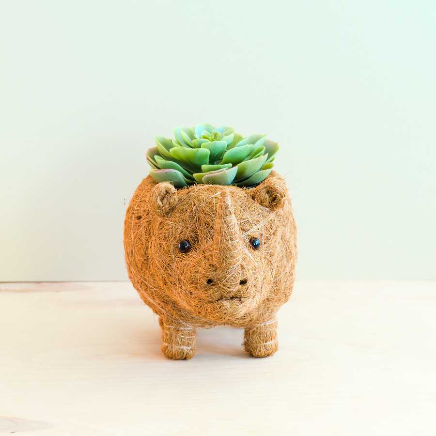 Rhino Planter - Coco Coir Pot | LIKHÂ LIKHÂ | Heirloom Boulevard