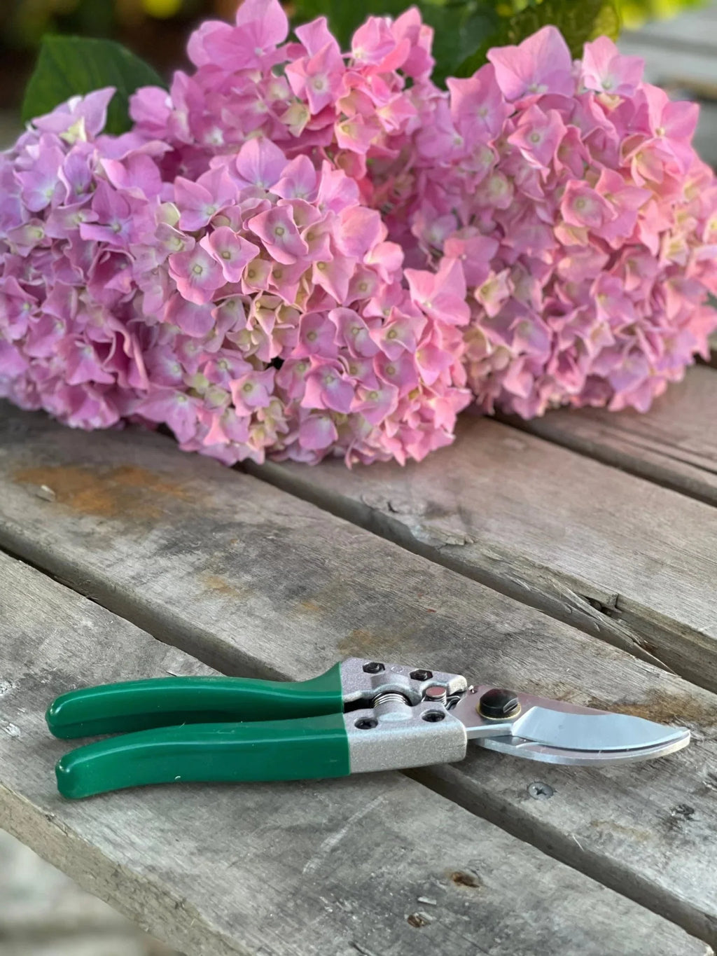 Rose Gardener Gift Box | Rose Gloves, Belt & Pruners | Heirloom Boulevard