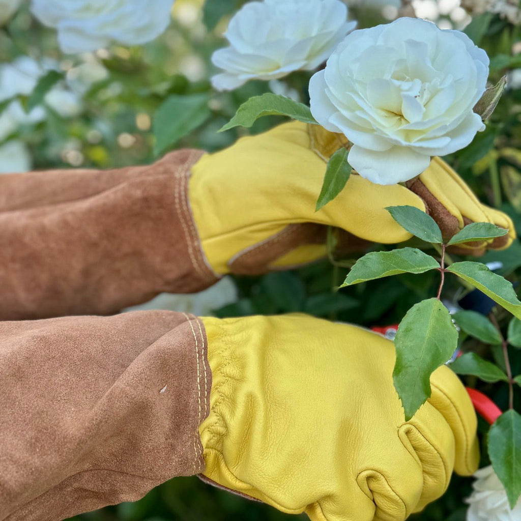 Rose Gardener Gift Box | Rose Gloves, Belt & Pruners | Heirloom Boulevard