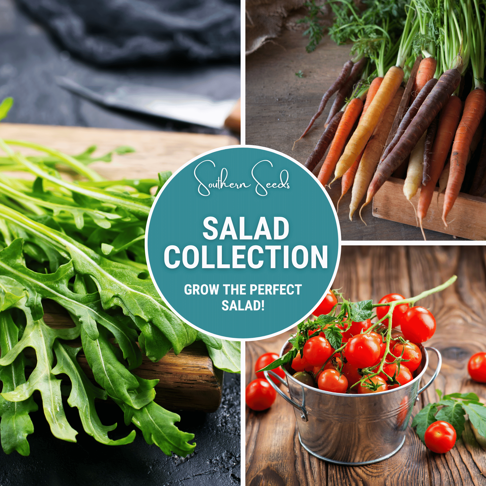 Southern Seeds Salad Seed Collection – 6 Varieties | Heirloom Boulevard