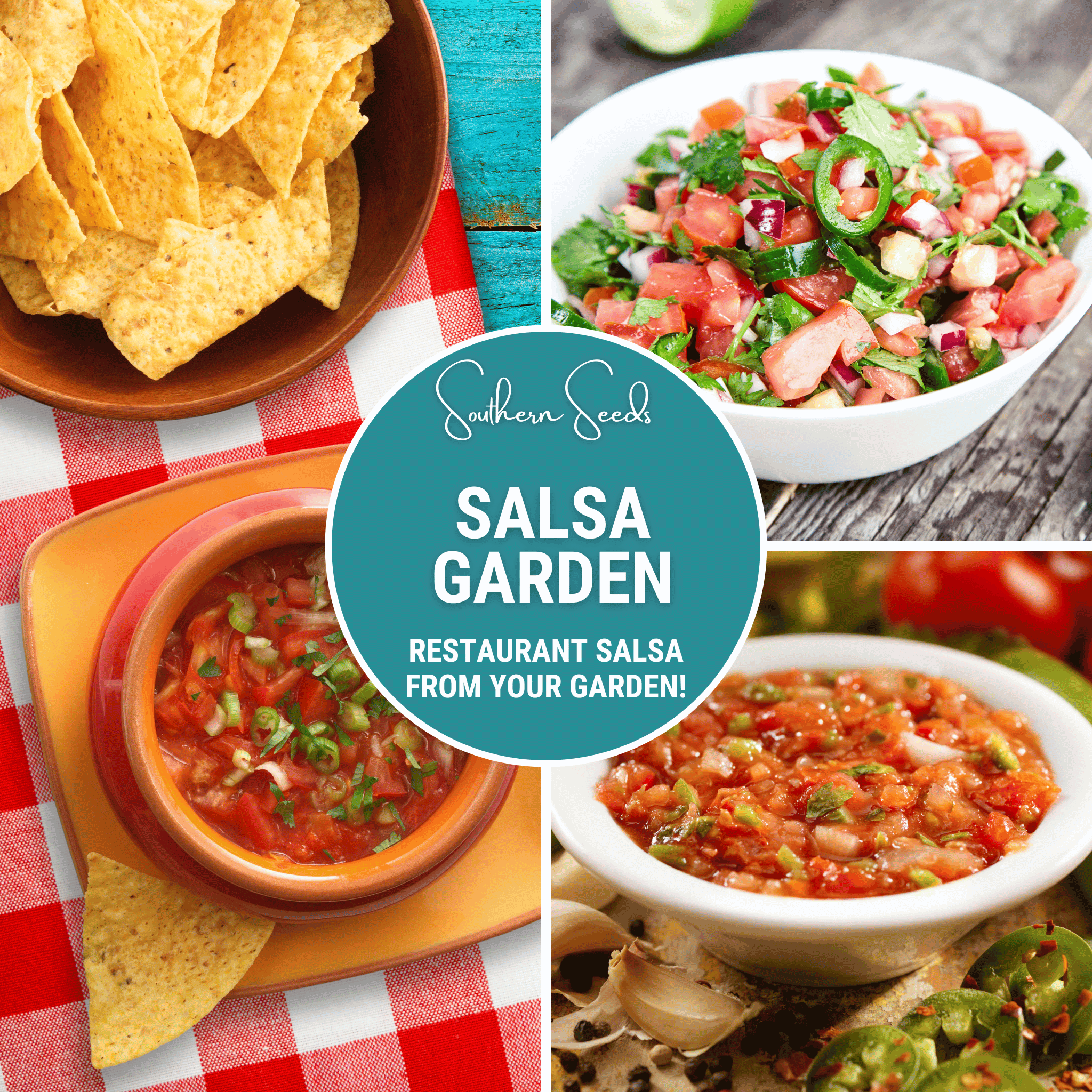 Southern Seeds Salsa Seed Collection – Restaurant Style – 10 Amazing Varieties | Heirloom Boulevard