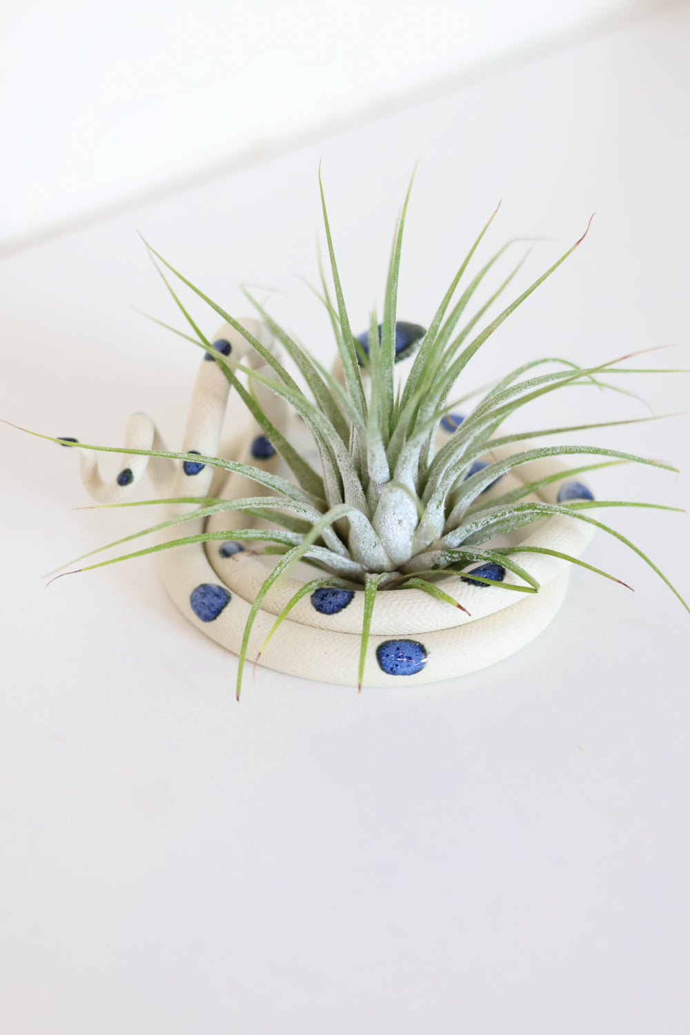 Carter + Rose Ceramic Snake, Medium Carter + Rose | Heirloom Boulevard
