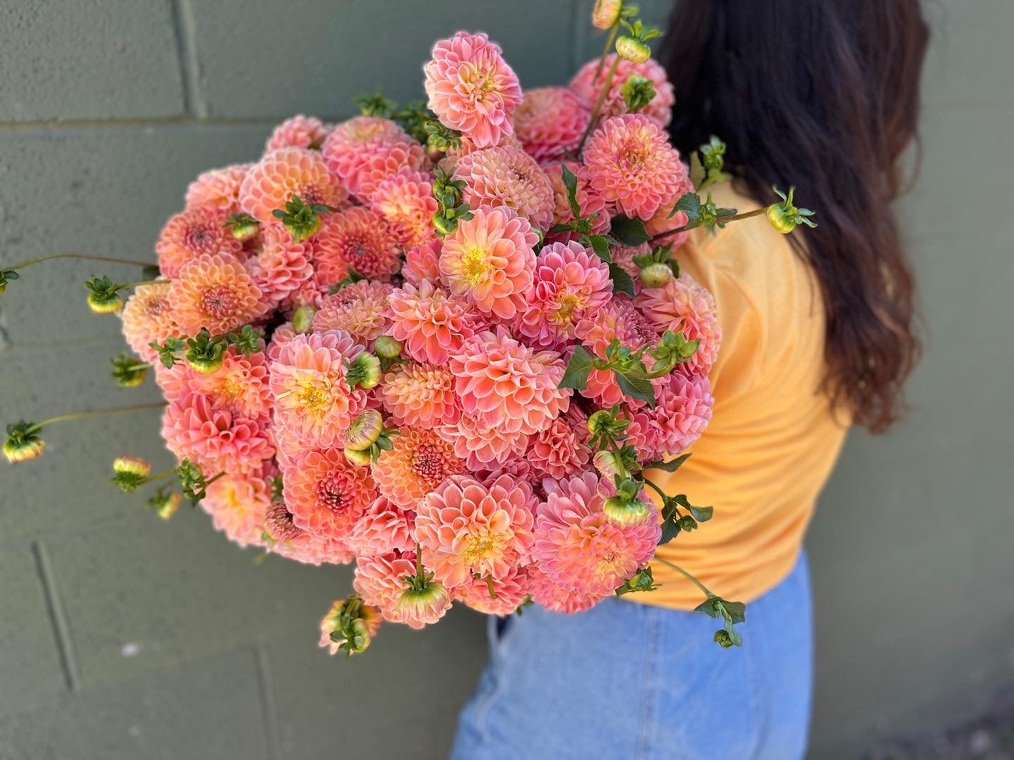 Sunny Meadows Flower Farm Dahlia Tuber Crichton Honey | Heirloom Boulevard