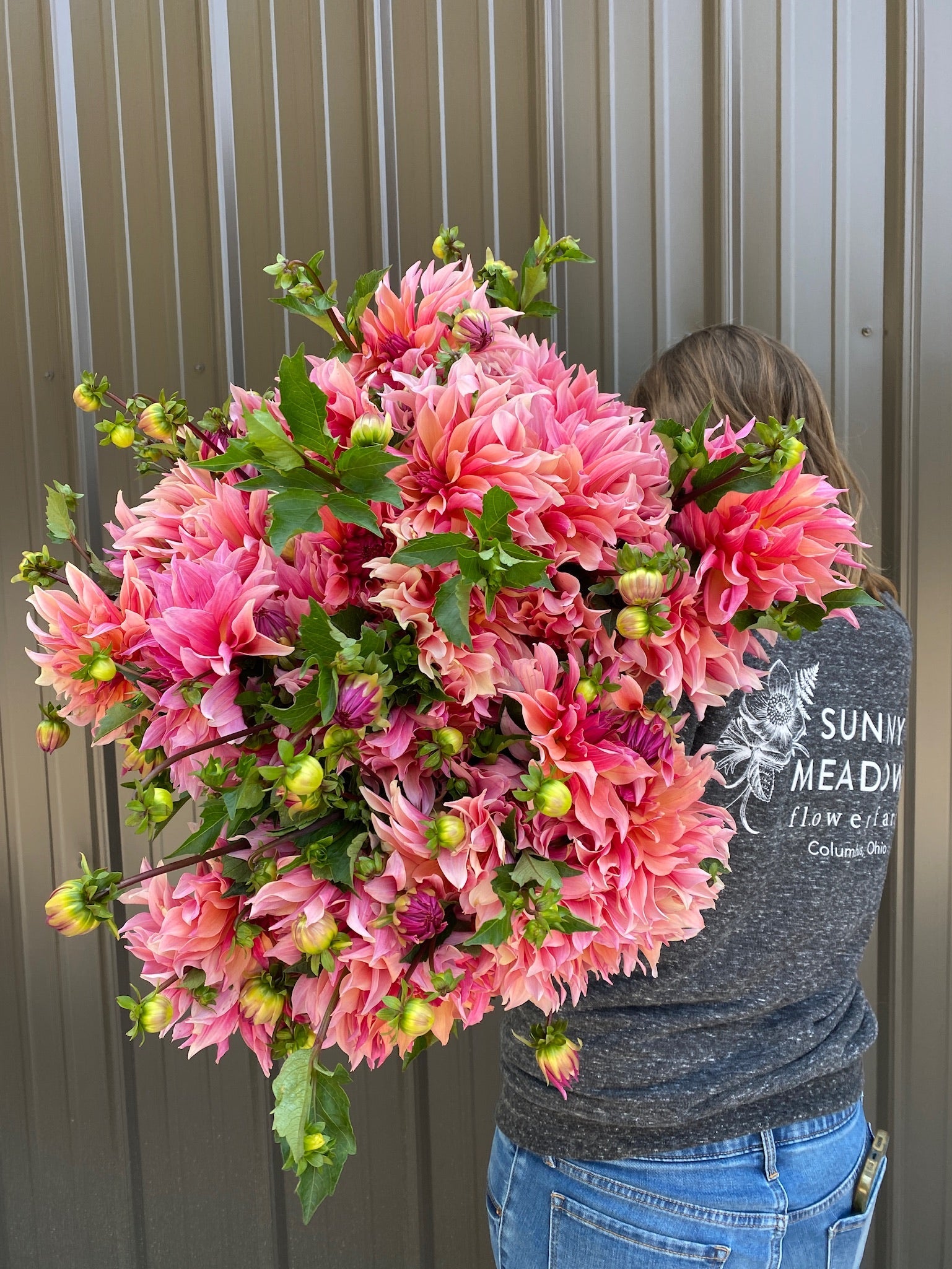 Sunny Meadows Flower Farm Dahlia Tuber Labyrinth | Heirloom Boulevard