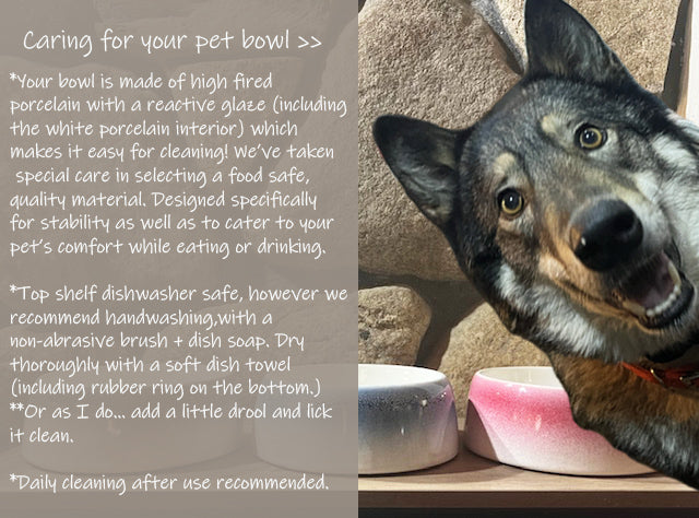 Byer of Maine  Pet Bowl - Biscuit