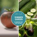Southern Seeds Summer Garden Seed Collection – 10 Heat Loving Varieties | Heirloom Boulevard