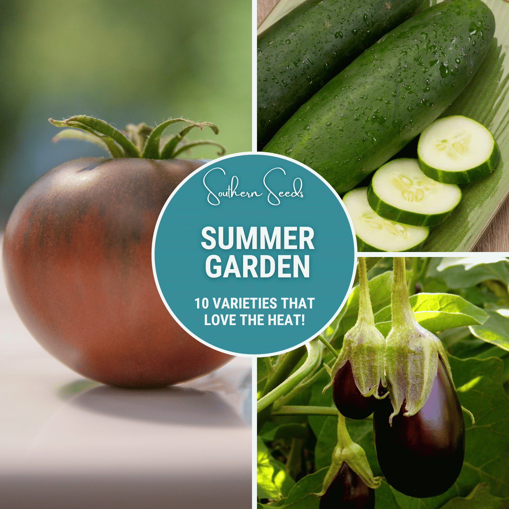 Southern Seeds Summer Garden Seed Collection – 10 Heat Loving Varieties | Heirloom Boulevard