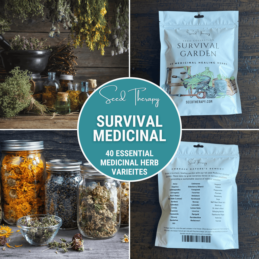 Southern Seeds Survival Medicinal Herb Garden – 40 Essential Varieties | Heirloom Boulevard