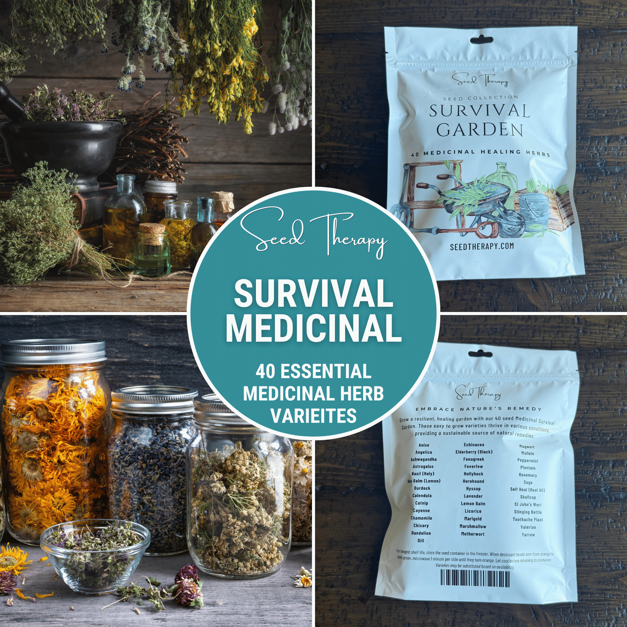 Southern Seeds Survival Medicinal Herb Garden – 40 Essential Varieties | Heirloom Boulevard