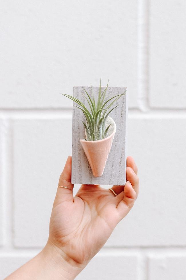 Carter + Rose Ceramic Wall Planter, Tiny Carter + Rose | Heirloom Boulevard