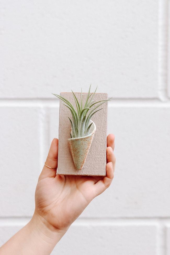 Carter + Rose Ceramic Wall Planter, Tiny Carter + Rose | Heirloom Boulevard