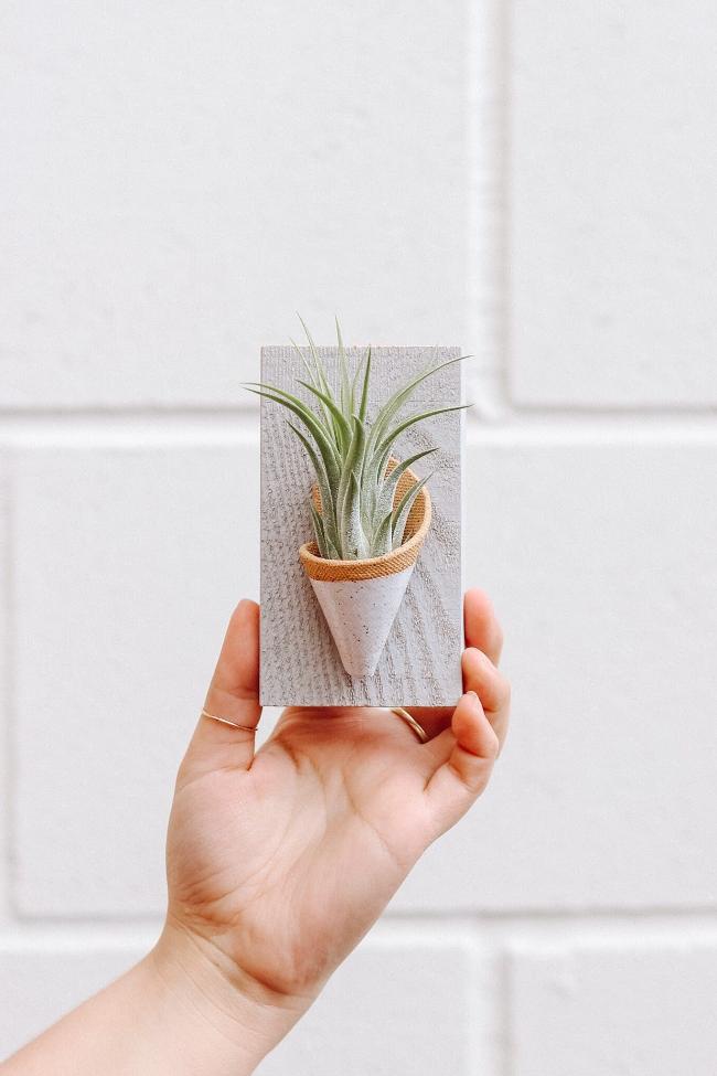 Carter + Rose Ceramic Wall Planter, Tiny Carter + Rose | Heirloom Boulevard
